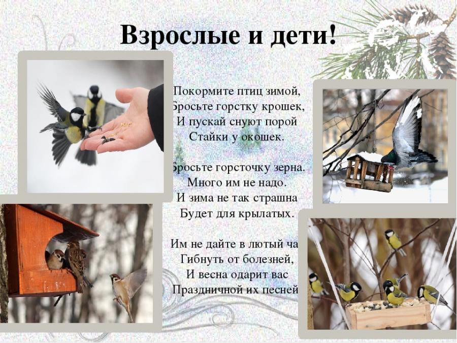Акция 
